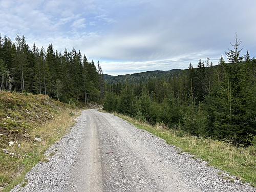 Det var noen lange og seige bakker opp fra Harestua stasjon