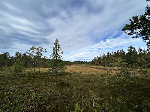 Oberstmyra sett fra sørenden