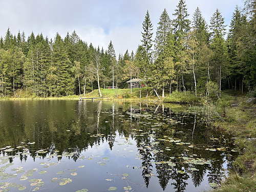 Selve Ormetjernet er et idyllisk tjern midt i krattskogen.
