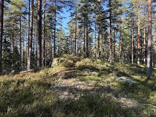 Brattåsen i Lillestrøm