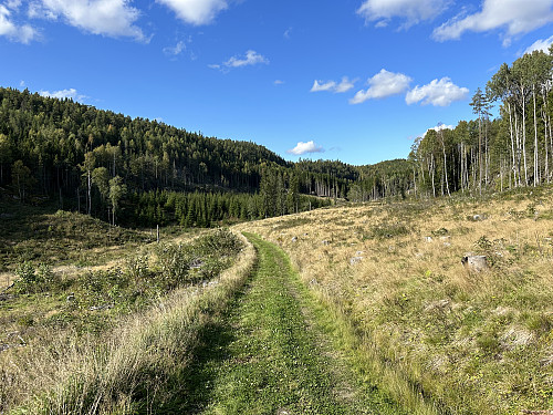 Fin traktorvei innover fra Falldalen. Nordenden av Bergeråsen til venstre i bildet