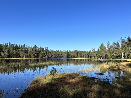 Ved idylliske Bleiktjern