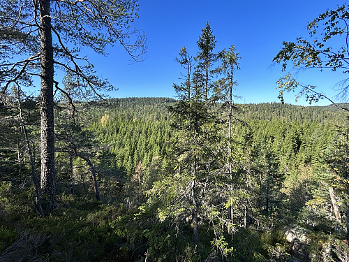 Seterhøgda sett fra stien mellom Aurevann og Lilloseter