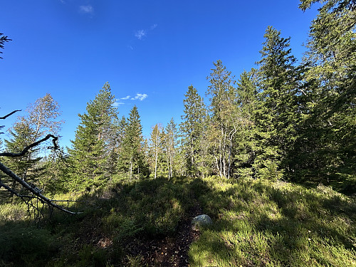 Seterhøgda 414 moh