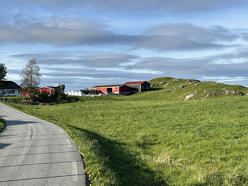 Vedarhaugen liger rett bak noen bolighus og er vanskelig tilgjengelig uten å måtte gå inn på privat eiendom