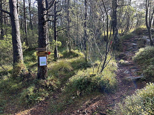 Et forslag til alternativ rute 