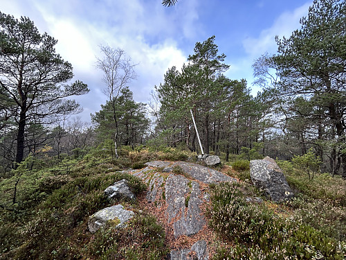 Toppunktet på Randåsen