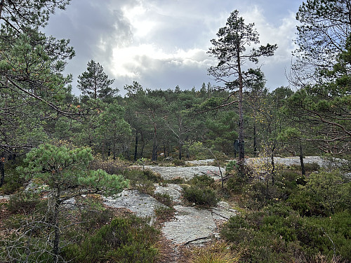 Turmål "Øyeåsen" underveis mot toppen.