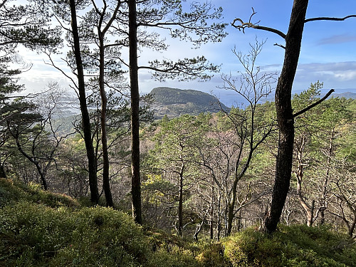 Randåsen sett fra et punkt vest på Øyåsen