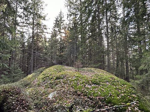 Solveigåsen 304 moh