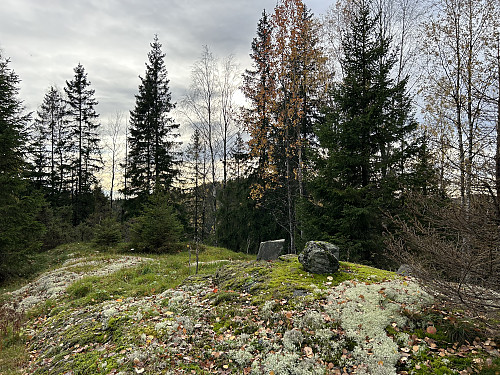 Gjeddevannsås 303 moh