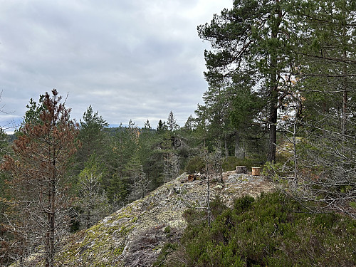 Utsiktspunktet på Høgåsen