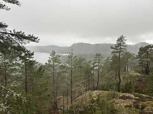 Utsikt vestover mot Kjerringåsen (midt i bildet)