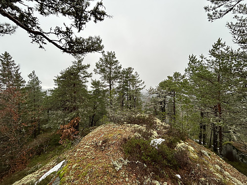 Toppen av Middagsåsen