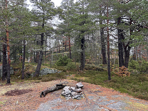 Like nedenfor toppkollen er det en fin bålplass.