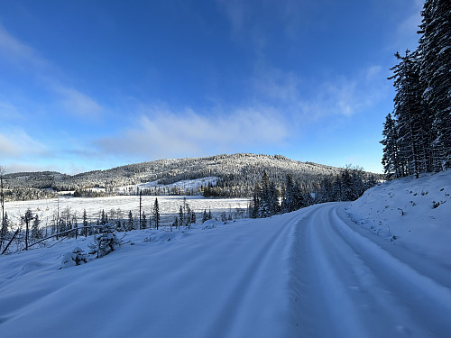 Langs veien innover mot Knukberget kunne jeg gå i traktorsporet