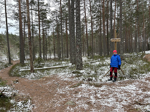 Stidele underveis, noen hundre meter før selve stigningen opp mot Vanakleiva starter
