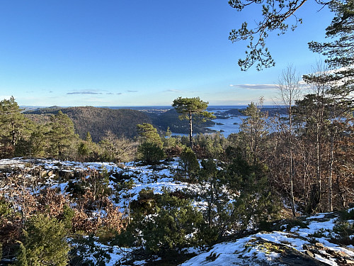 Utsikt mot SØ fra Hesttjennknuten