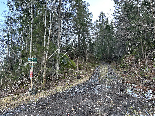 Til å begynne med var det traktorvei oppover mot Kjerrkollen