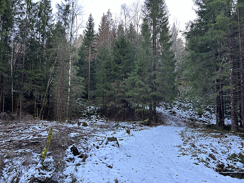 Kjerrkollen bak i bildet