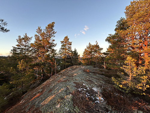 Toppkollen på Sjåen