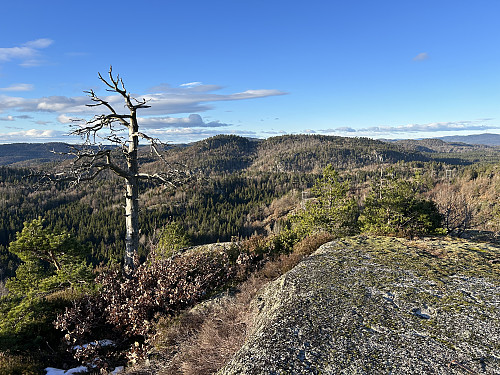 Utsikt fra Skjeggås