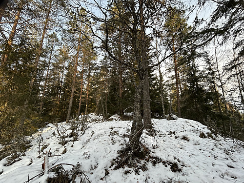 Sørstuåsen i Stange