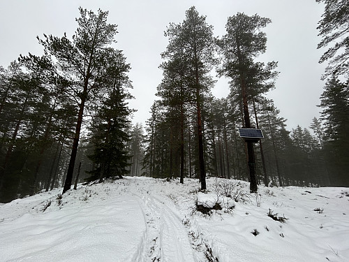 Toppen av Kukollen 