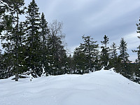 ØyvindBergkvam_20240510_663dc207c25f5.jpg