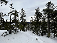 ØyvindBergkvam_20240510_663dc2090f86d.jpg