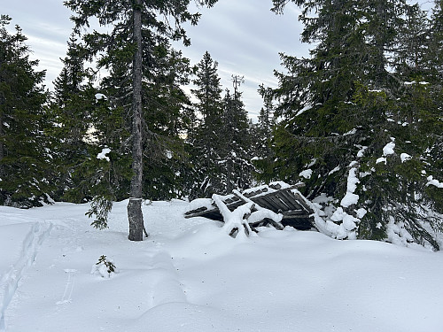 Rasaaksla i Stange og Nord-Odal