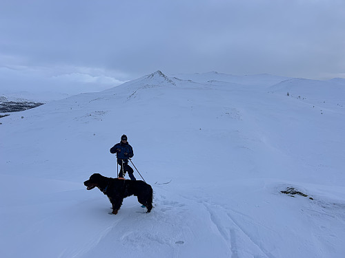 Her har vi så vidt gått ut av traseen nedenfor Heimfjellet. Anaripigg og Karihaugen i bakgrunnen