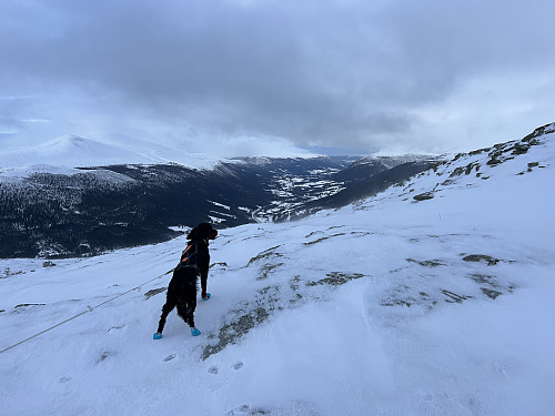Utsikt nordover like nedenfor toppen av Heimfjellet