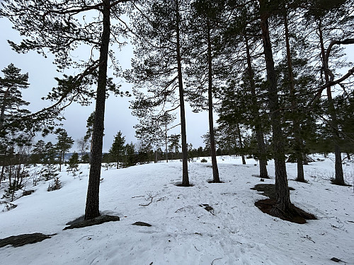 Bergeråsen i Lillestrøm
