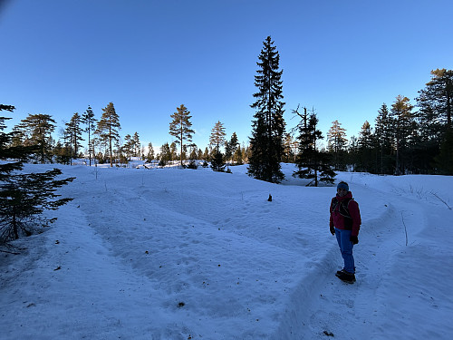 På vei oppover mot Bergeråsen i fin scootertrase