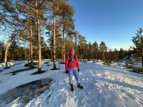 Bergeråsen i kveldssol