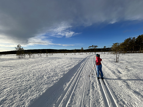 Ved Breimåsan, her tok vi av fra løypa