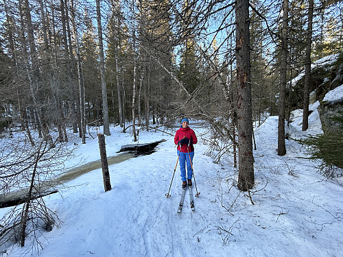 Kronglete veivalg, men heldigvis holdt snøbrua:)