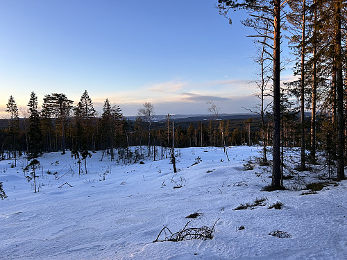 Utsikt fra hogstfeltet nord for Kukollen