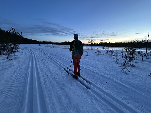 Kveldslys på Breimåsan på vei tilbake til bilen