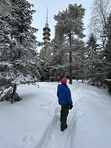 Tårnet i sikte