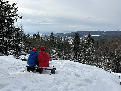 Fint rastested sør for sørtoppen. 