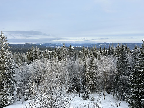 Utsikt nordover fra utsiktstårnet på Røverkollen