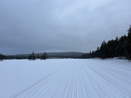 På vei tilbake i fine løyper over Breisjøen. Kukollen ses helt bak i bildet