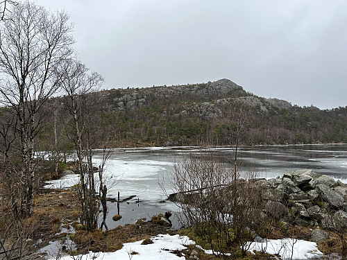 Torenipen sett fra stikrysset ved Grindavatnet