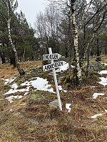 ØyvindBergkvam_20240510_663e4be59107a.jpg