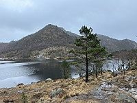 ØyvindBergkvam_20240512_66408587031ef.jpg