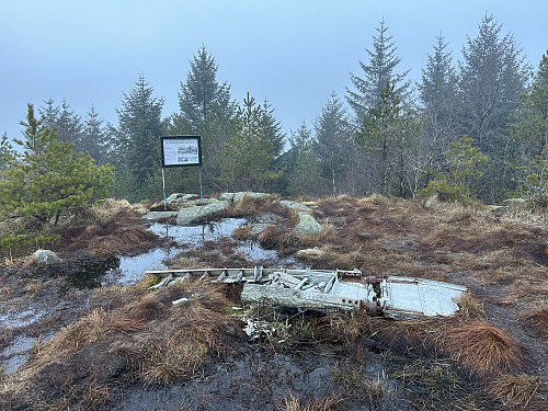 Flyvrakrester like ved toppen av Skjørestadfjellet