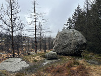 ØyvindBergkvam_20240512_66408ebf43541.jpg