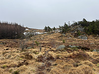 ØyvindBergkvam_20240512_66408ec130dab.jpg